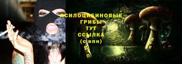 кокаин перу Богданович