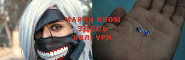 хмурый Богородицк
