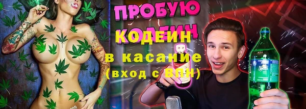 хмурый Богородицк