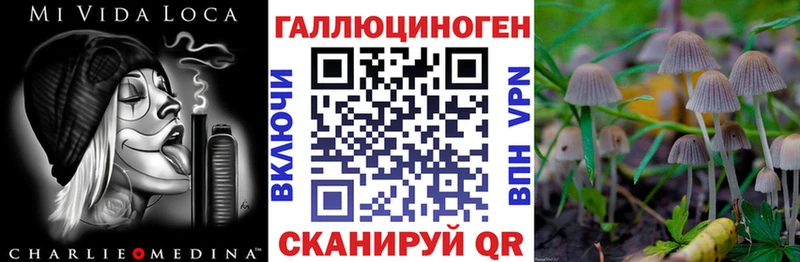 Галлюциногенные грибы Magic Shrooms  Купить закладки  Сенгилей 